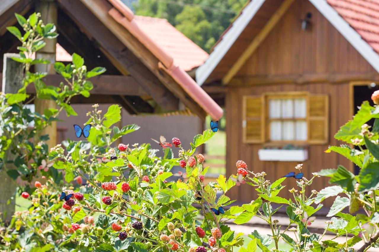 Pousada Rural Pavao - Suites E Chales ウルビシ エクステリア 写真