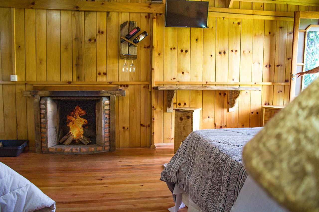 Pousada Rural Pavao - Suites E Chales ウルビシ エクステリア 写真