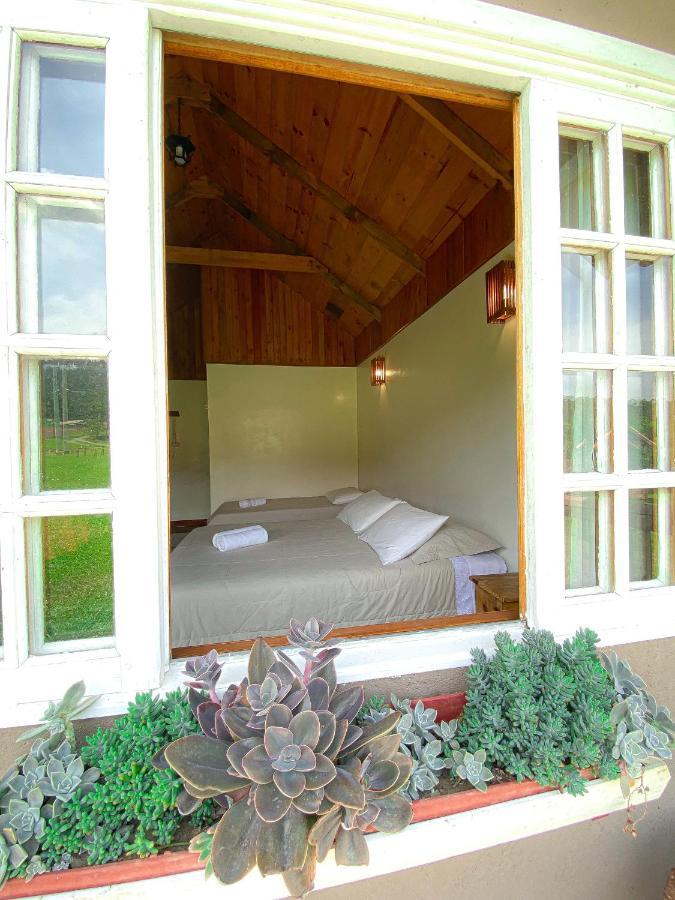 Pousada Rural Pavao - Suites E Chales ウルビシ エクステリア 写真