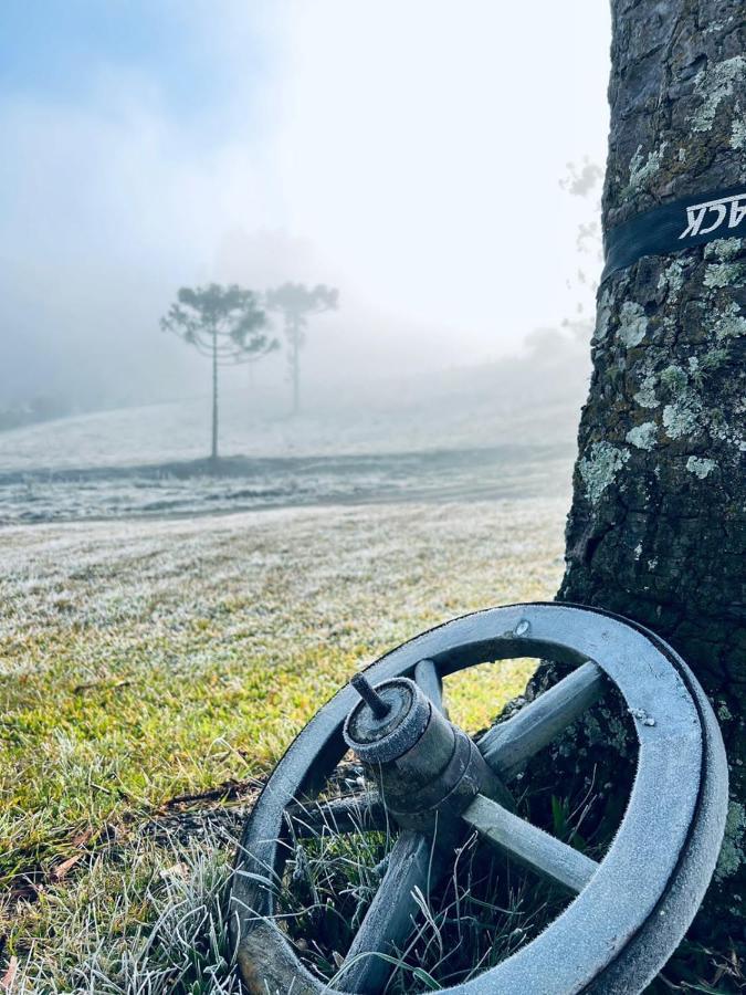 Pousada Rural Pavao - Suites E Chales ウルビシ エクステリア 写真